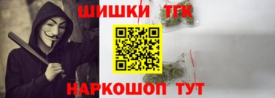 дмт Шелехов